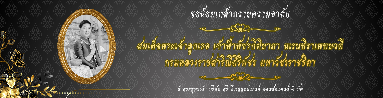 PDC-25987452986